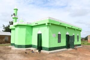 MOSQUE-7212-2017 (1)